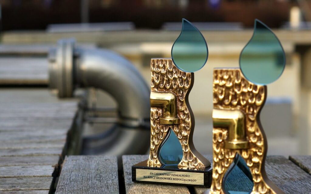 STATUETKI OKOLICZNOŚCIOWE CAŁOKSZTAŁT DZIAŁALNOŚCI